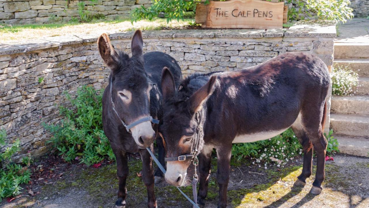 シップトン・オリフ（チェルトナム近く） The Calf Pensヴィラ エクステリア 写真